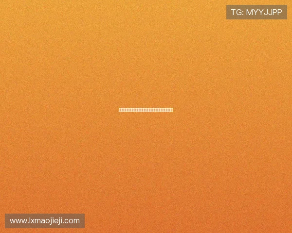 飞燕网络引领数字化转型助力企业创新发展新格局